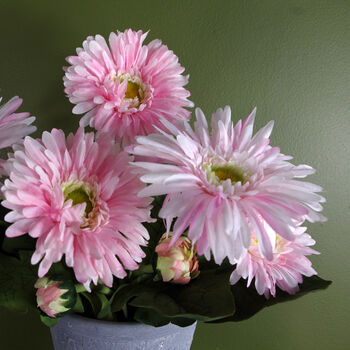 Pink Potted Daisy Flowering Plant Artificial, 3 of 5