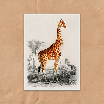 Vintage Giraffe Illustration Wall Art Print, 6 of 6
