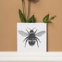 Cephei The Bee Luxury Blank Greeting Card, thumbnail 2 of 5