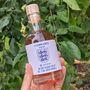 Personalised England Football Flavoured Gin With Music, thumbnail 5 of 6