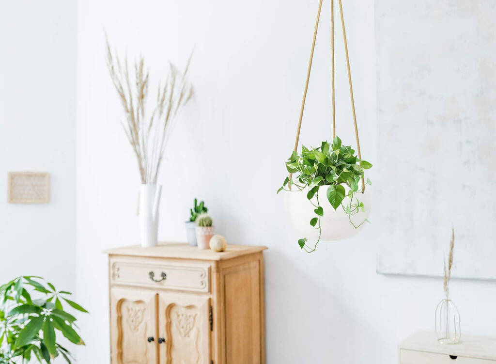 Ceramic Hanging Planter Pot White Indoor Outdoor Plants By Momentum