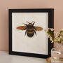 Paper Cut Honey Bee Wall Art Romantic Gift, thumbnail 5 of 8