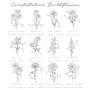 Personalised Birth Flower Constellation Scented Candle, thumbnail 8 of 9