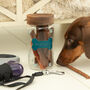 Personalised Dog Pet Treat Glass Storage Jar, thumbnail 4 of 8