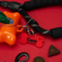 Personalised Dog Lead Name Tag, thumbnail 3 of 5