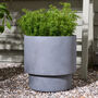 Noma Grey Footed Planter, thumbnail 4 of 10