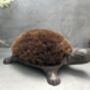 Cast Iron Tortoise Boot Scraper – Shoe Brush, thumbnail 5 of 12