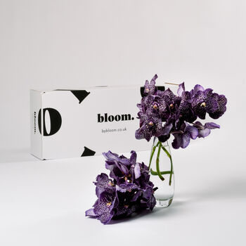 Purple Magic Vanda Orchid Flowers, 3 of 3