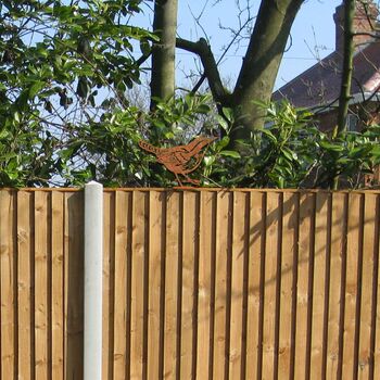 Metal Wren Garden Decor Rusty Bird Fence Topper Art, 9 of 10