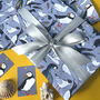 Coastal Birds Of Britain Wrapping Paper, thumbnail 6 of 9