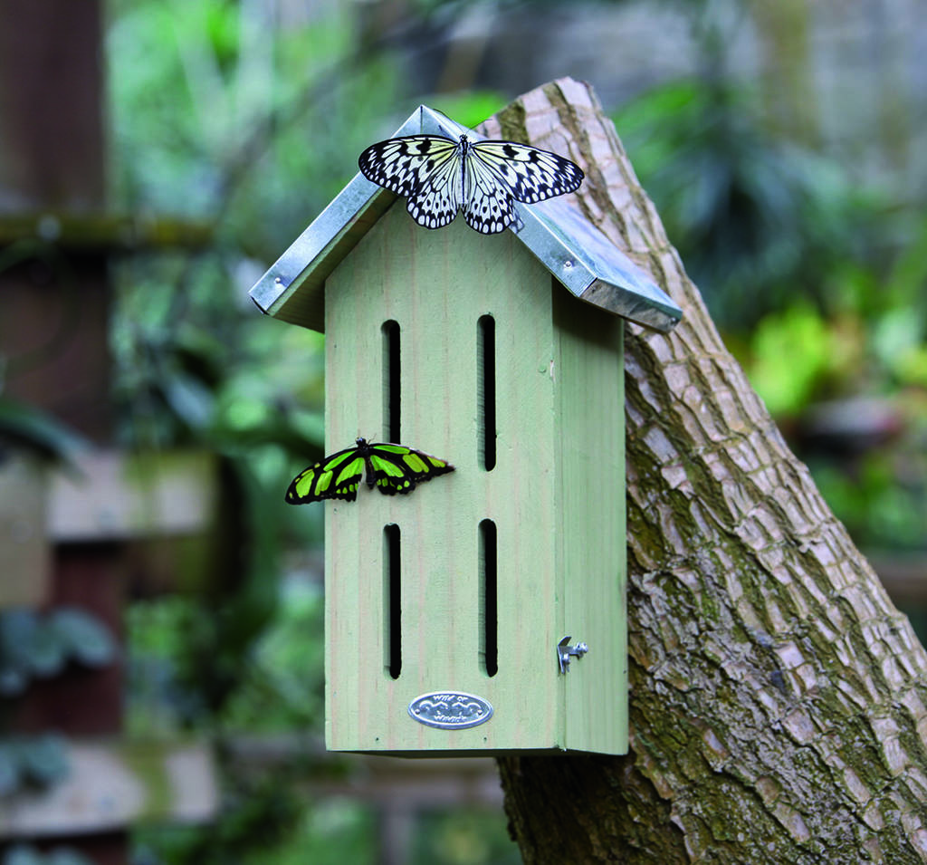Butterfly House By Blackdown Lifestyle | notonthehighstreet.com