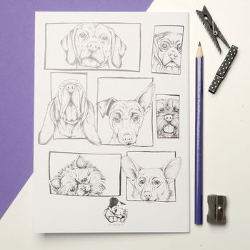 Dog Faces Notebook, 3 of 3
