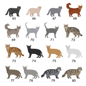 Personalised Cat Breed Fridge Magnet, 6 of 11