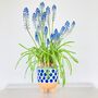 Blue Spotty Plant Pot, thumbnail 2 of 5