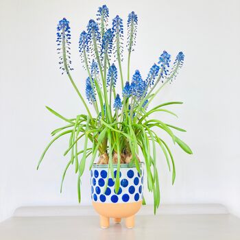 Blue Spotty Plant Pot, 2 of 5