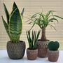 Moroccan Style Decorative Ceramic Planter / Plant Pot, thumbnail 1 of 3
