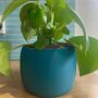 3D Printed Vibrant Plant Pot – Lightweight And Strong, thumbnail 1 of 7