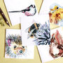 Country Garden Collection Pack Of Blank Greeting Cards, thumbnail 5 of 8