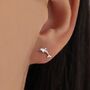 Sterling Silver Dolphin 18 G Screw Back Earrings With Ball Backs, thumbnail 7 of 11