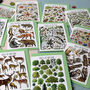 Wildlife Of Britain Greeting Cards Pack Volume Two, thumbnail 9 of 9