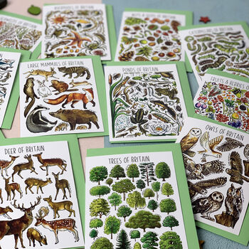 Wildlife Of Britain Greeting Cards Pack Volume Two, 9 of 9