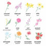 Personalised Birth Flower Organic Shape Coaster, thumbnail 5 of 6
