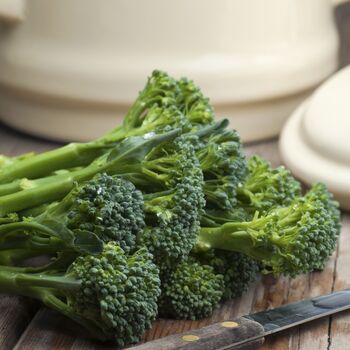 Vegetable Broccoli 'Tenderstem' 12 X Plant Pack, 2 of 5