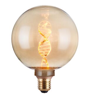 Vintlux Kyodai Dna Globe Xl Gold Dimmable LED Bulb, 3 of 5