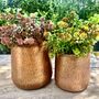 A Set Of Two Vintage Style Copper Planters, thumbnail 3 of 6