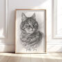 Personalised Black And White Pencil Sketch Pet Portrait, thumbnail 9 of 12
