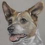 Personalised Pet Portrait Commission, thumbnail 6 of 12