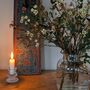 Short Clear Ribbed Glass Dinner Candlesticks Set Of Two, thumbnail 3 of 12