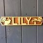 Personalised Name Plaque, thumbnail 4 of 9