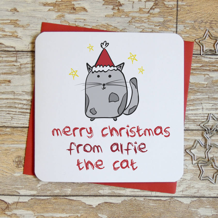 merry christmas from the cat xmas card by parsy card co ...