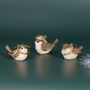 G Decor Set Of Three Cute Golden Songbird Trio Handcrafted Festive Bird Christmas Tree Hanging Decorations, thumbnail 2 of 6