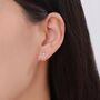 Sterling Silver Full Human Skeleton Stud Earrings, thumbnail 4 of 12