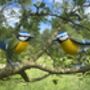 Hand Painted Metal Bluetit, thumbnail 9 of 9