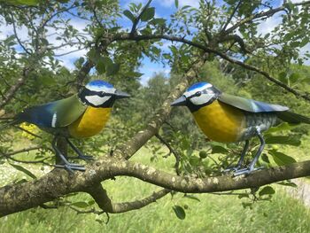 Hand Painted Metal Bluetit, 9 of 9