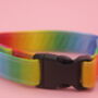 Rainbow Ombre Dog Collar, thumbnail 3 of 9