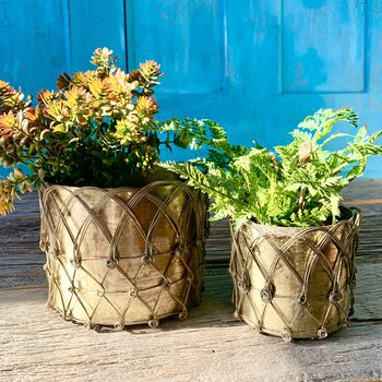 Two Brass Caged Planters Ltzkr028, 3 of 4