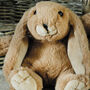 Brown Bunny Soft Toy Small, From Birth, thumbnail 2 of 3