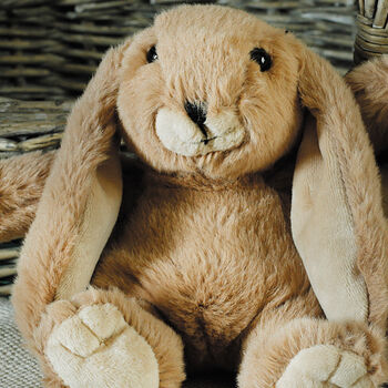 Brown Bunny Soft Toy Small, From Birth, 2 of 3