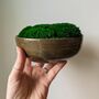Preserved Moss In A Small Ceramic Handmade Bowl, thumbnail 4 of 8