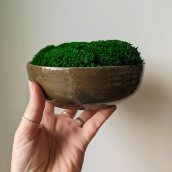 Preserved Moss In A Small Ceramic Handmade Bowl, 4 of 8