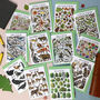 Wildlife Of Britain Greeting Cards Pack Volume Two, thumbnail 1 of 9