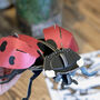 Build Your Own Ladybird, thumbnail 7 of 12
