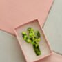 The 'Desert Sparkle' Cactus Glitter Brooch / Botanical Gift For Her /Green Succulent Brooch / Birthday Gift For Plant Lovers, thumbnail 4 of 6