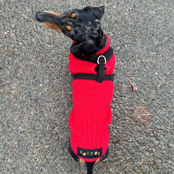 Red Miniature Dachshund Knitted Jumper, 7 of 7