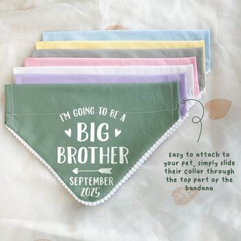 Big Brother Pregnancy Announcement Dog Bandana, 7 of 7