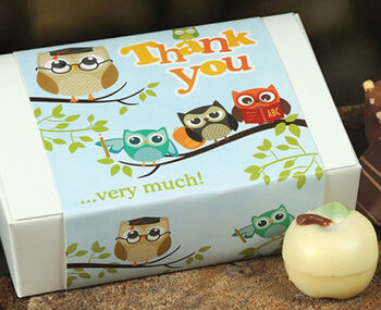 Owl You Need Is Chocolate Gift Box. Perfect Teacher Gift, 2 of 2